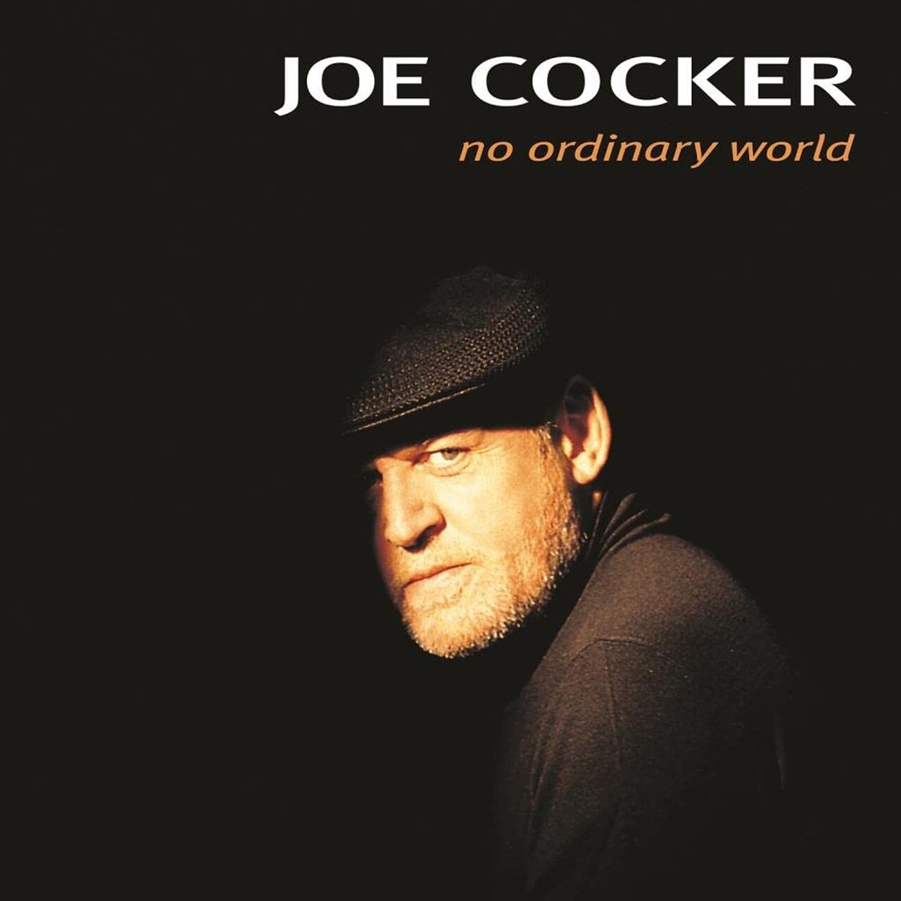 Виниловая пластинка Joe Cocker - No Ordinary World (Black Vinyl 2LP) -  купить в Ростове-на-Дону в интернет-магазине Pult.ru